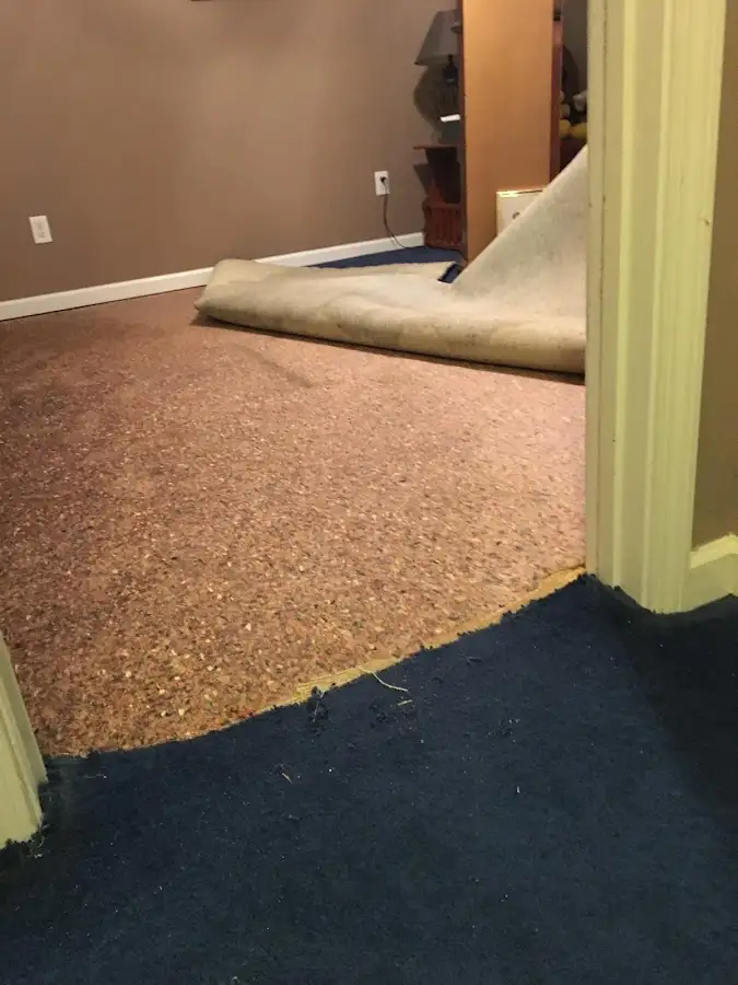 Carpet pad removal revealing water damage during Drying & Dehumidification in The Village of Indian Hill